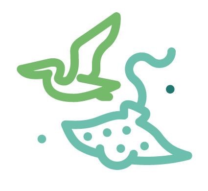 Biodiversidad